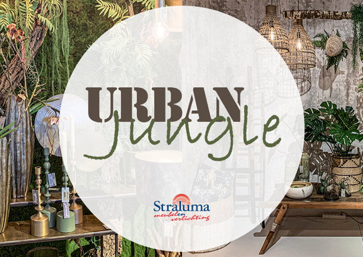 Groen is hot!  Is de Urban Jungle woonstijl wat voor jou? topic icon